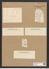 Licmophora anglica f. elongata V.H. (de-Toni-Nr.: Genus 86, Species 2957) Zeichnungen Sammlung Grunow Nr. 5989 (NHMW-BOT-W0374477)